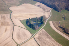 Aerial photograpy of Fishpond in the district Legelshurst in Willstätt in the state Baden-Wuerttemberg, Germany