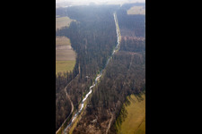 Durb.-Kammb.-Wannenbach canal in the forest in the district Urloffen in Appenweier in the state Baden-Wuerttemberg, Germany