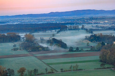 Biotope in the Otterbach lowlands in the morning mist in Minfeld in the state Rhineland-Palatinate, Germany