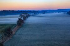Neugraben in the Otterbach lowlands in the morning mist in Freckenfeld in the state Rhineland-Palatinate, Germany