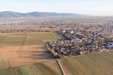 Aerial view of Meadow and fallow land between Landau W, Wollmesheim and Arzheim in Landau in der Pfalz in the state Rhineland-Palatinate, Germany