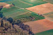 Aerial view of Forest edge at Hofgraben in the district Dreihof in Essingen in the state Rhineland-Palatinate, Germany