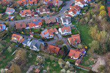 Orchid Street in Jockgrim in the state Rhineland-Palatinate, Germany
