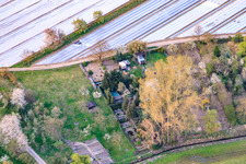 Gardens at the Rheinzaberner Randgraben in Rheinzabern in the state Rhineland-Palatinate, Germany from above