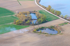 Aerial view of Fishing pond on the Old Rhine near Neupotz in Jockgrim in the state Rhineland-Palatinate, Germany