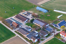 Oblique view of Burgerhof Neupotz and Jägerhof direct marketing in Neupotz in the state Rhineland-Palatinate, Germany