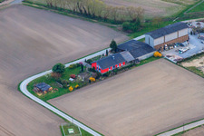 Grünpunkt & the artificial turf professional in Rheinzabern in the state Rhineland-Palatinate, Germany