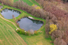 Aerial photograpy of Fish ponds on the Erbach in the district Sondheim in Mellrichstadt in the state Bavaria, Germany