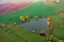 Pond between meadows in Sulzdorf an der Lederhecke in the state Bavaria, Germany