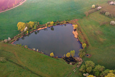 Aerial view of Pond between meadows in Sulzdorf an der Lederhecke in the state Bavaria, Germany