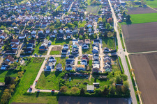 New Development Area East (Im Holderbusch) in Minfeld in the state Rhineland-Palatinate, Germany