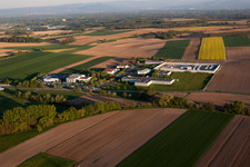 Scheibenhard in the state Bas-Rhin, France from above