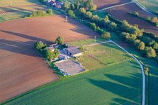 Horse paddocks around the Birkenhof in Impflingen in the state Rhineland-Palatinate, Germany