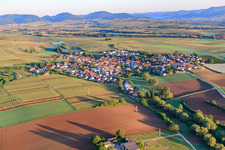 Aerial view of Village view in the morning from the east in Impflingen in the state Rhineland-Palatinate, Germany