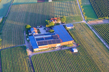 Gertrudenhof in Impflingen in the state Rhineland-Palatinate, Germany