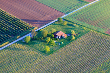 Grill hut Impflingen on the B38 in Impflingen in the state Rhineland-Palatinate, Germany