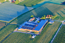 Aerial view of Gertrudenhof in Impflingen in the state Rhineland-Palatinate, Germany