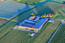 Aerial photograpy of Gertrudenhof in Impflingen in the state Rhineland-Palatinate, Germany