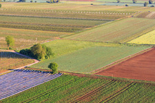Mecke Moschi Radio launch site of the paramotor friends Palatinate in Meckenheim in the state Rhineland-Palatinate, Germany