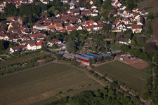 Flowers Schupp in the district Gimmeldingen in Neustadt an der Weinstraße in the state Rhineland-Palatinate, Germany