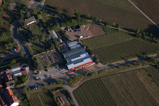 Flowers Schupp in the district Gimmeldingen in Neustadt an der Weinstraße in the state Rhineland-Palatinate, Germany from above