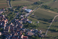 Flowers Schupp in the district Gimmeldingen in Neustadt an der Weinstraße in the state Rhineland-Palatinate, Germany out of the air
