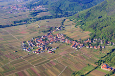 Wine village in the morning from the north in Weyher in der Pfalz in the state Rhineland-Palatinate, Germany