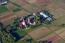 Oblique view of Building complex of the Institute Julius Kuehn Rebforschungsanstalt Geilweilerhof in Siebeldingen in the state Rhineland-Palatinate, Germany