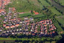 Night grazers from the east in Winden in the state Rhineland-Palatinate, Germany