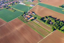 Aerial view of Village market Schoßberghof by Michael Groß Agriculture in Minfeld in the state Rhineland-Palatinate, Germany