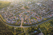 Bird ring in the morning in Jockgrim in the state Rhineland-Palatinate, Germany