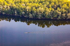 Aerial view of Paddlers on the Saalbach Canal in the district Rheinsheim in Philippsburg in the state Baden-Wuerttemberg, Germany
