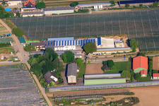 Zapf farm market, fruit and asparagus farm, Zapf farm café in Kandel in the state Rhineland-Palatinate, Germany from the plane