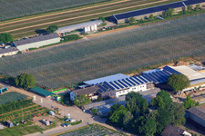 Bird's eye view of Zapf farm market, fruit and asparagus farm, Zapf farm café in Kandel in the state Rhineland-Palatinate, Germany