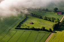Horse paddock in the district Bredenborn in Marienmünster in the state North Rhine-Westphalia, Germany
