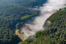 Forest clearing in the fog in the district Ovenhausen in Höxter in the state North Rhine-Westphalia, Germany