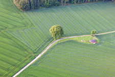 Aerial view of District Tietelsen in Beverungen in the state North Rhine-Westphalia, Germany