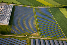 Panel rows of photovoltaic and solar farm or solar power plant in the district Bredenborn in Marienmuenster in the state North Rhine-Westphalia from above