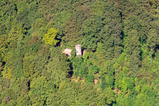 Rodeneck Tower in Höxter in the state North Rhine-Westphalia, Germany