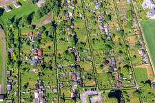 Aerial view of Hexenstieg allotment garden in Höxter in the state North Rhine-Westphalia, Germany