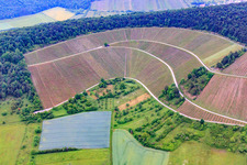 Vineyards in Ramsthal with south exposure in Ramsthal in the state Bavaria, Germany