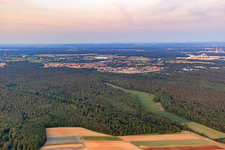 Aerial view of Hintergraben and Dörniggraben border a clearing in the Bienwald in Kandel in the state Rhineland-Palatinate, Germany