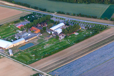 Southern Palatinate Football Golf Park at Adamshof Kandel in Kandel in the state Rhineland-Palatinate, Germany viewn from the air