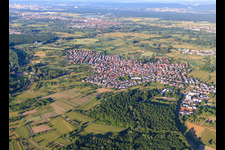 View of the Rhine meadows from the west in Au am Rhein in the state Baden-Wuerttemberg, Germany