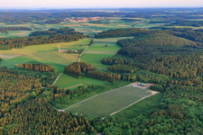 Agricultural PV system in a forest clearing in the district Großengstingen in Engstingen in the state Baden-Wuerttemberg, Germany