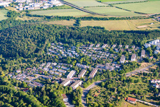 Oak slope in the district Böfingen in Ulm in the state Baden-Wuerttemberg, Germany
