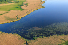 Aerial photograpy of Federsee in Bad Buchau in the state Baden-Wuerttemberg, Germany