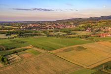 Fields in the morning before the village in the district Oberhofen in Pleisweiler-Oberhofen in the state Rhineland-Palatinate, Germany