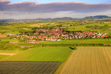 Village view in the morning from the east in Insheim in the state Rhineland-Palatinate, Germany