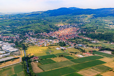 View of the Kaiserstuhl from the north in Bahlingen am Kaiserstuhl in the state Baden-Wuerttemberg, Germany